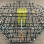 Fast Fisher Crab Pot